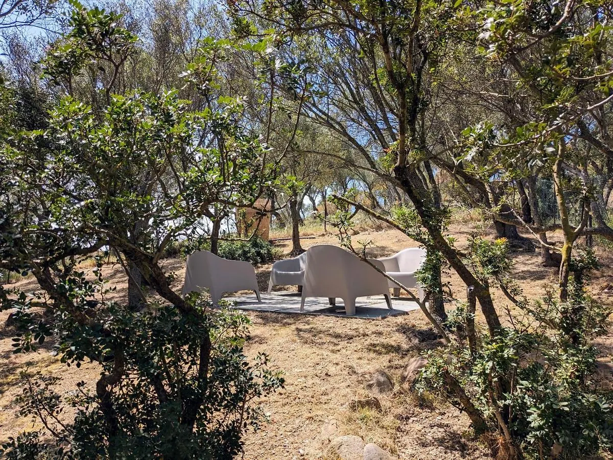 Guest house Villa Uliveto Rooms With Kitchen & Garden Chia Italy