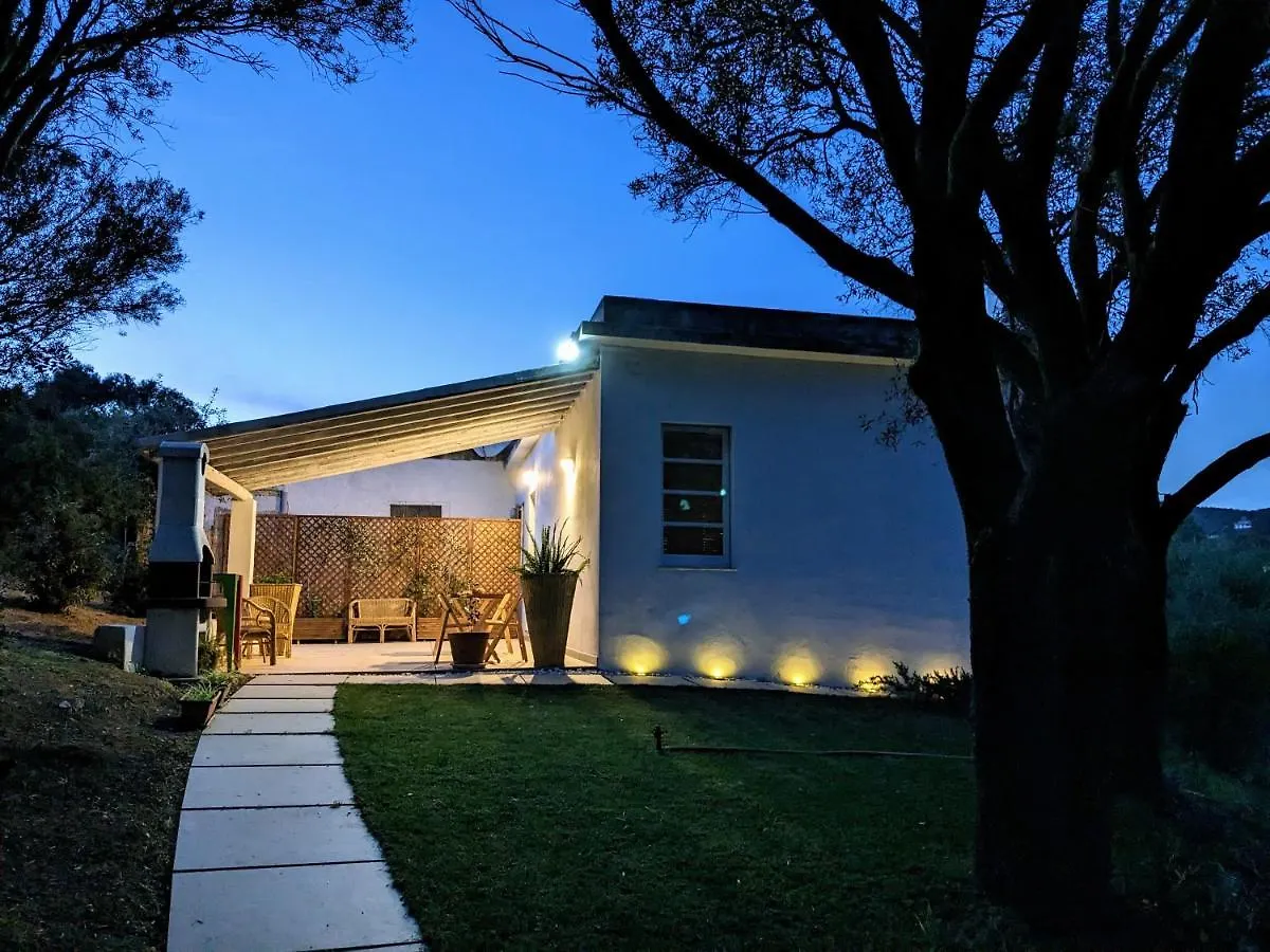 Πανσιόν Villa Uliveto Rooms With Kitchen & Garden