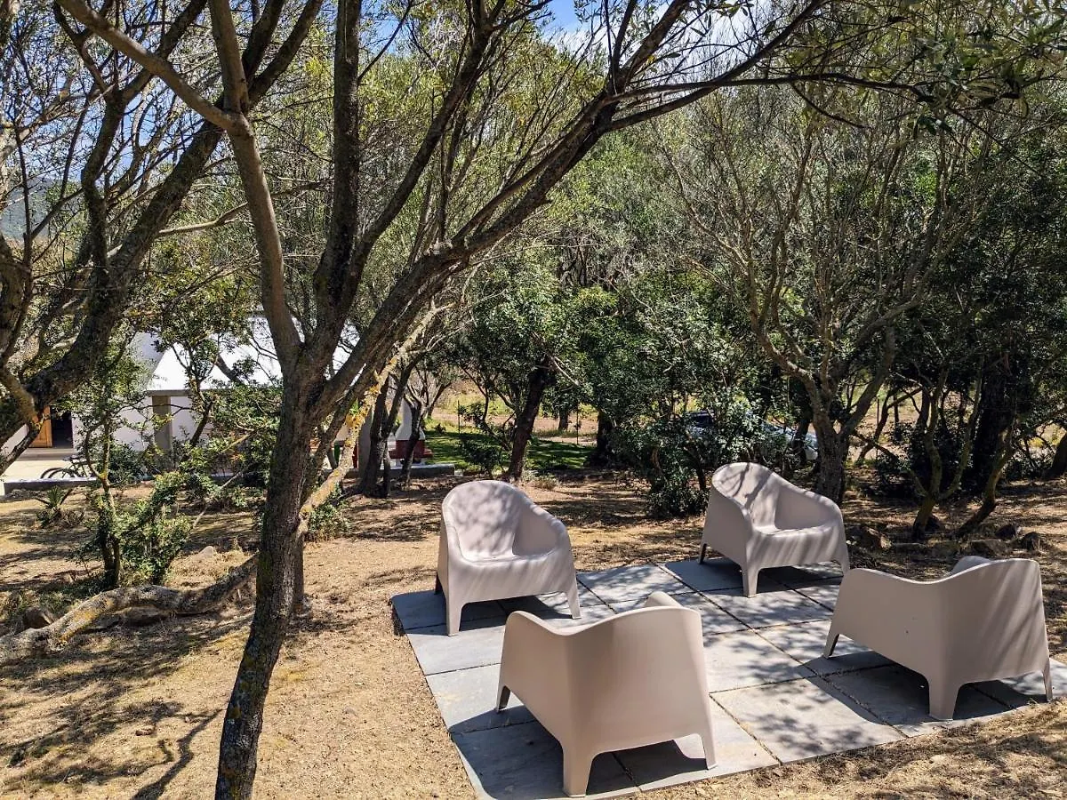 Πανσιόν Villa Uliveto Rooms With Kitchen & Garden Ιταλία